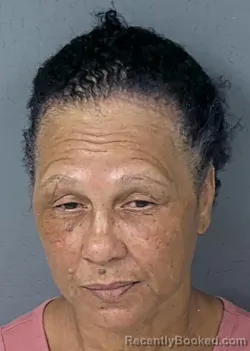 Mugshot of PAMELA ANN WADDY booked in Hernando County, Florida on July 9, 2026
