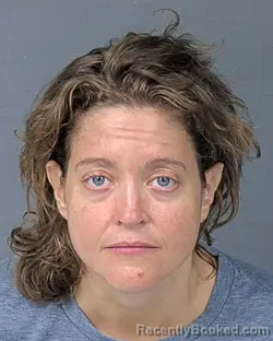 Mugshot of MEGAN HOPE TODD booked in Hernando County, Florida on July 10, 2026