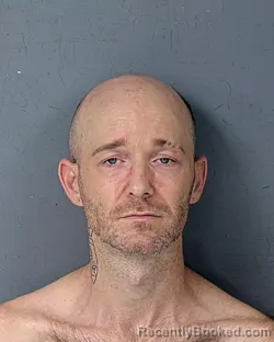 Mugshot of STEVEN JOSEPH SHEEHAN booked in Hernando County, Florida on July 13, 2026