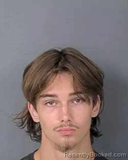 Mugshot of TRISTAN ALEXANDER COSSETTE booked in Hernando County, Florida on July 13, 2026