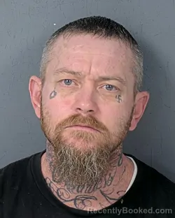 Mugshot of DONALD CURTIS HOLMES booked in Hernando County, Florida on July 13, 2026