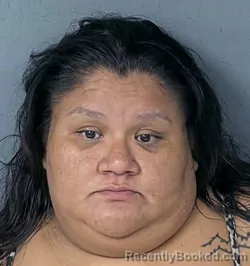 Mugshot of JOANIE MELANE MELENDEZ booked in Hernando County, Florida on July 14, 2026