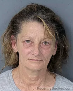Mugshot of TARA COMBS CARON booked in Hernando County, Florida on July 15, 2026