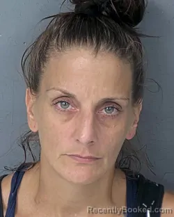 Mugshot of THERESA ROSE ELLIS booked in Hernando County, Florida on July 15, 2026