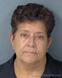 Mugshot of MIRIAM TORRES booked in Hernando County, Florida on July 16, 2026