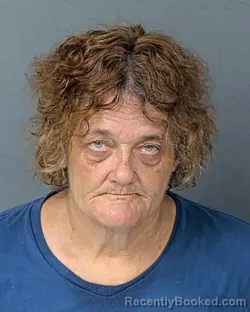 Mugshot of TAMMY SUE MESSICK booked in Hernando County, Florida on July 16, 2026