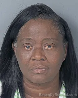 Mugshot of SHARON ANN THOMAS booked in Hernando County, Florida on July 17, 2026