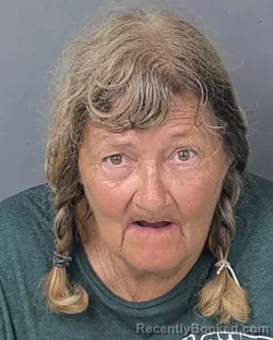 Mugshot of JANE RUSBY KEENE booked in Hernando County, Florida on July 17, 2026