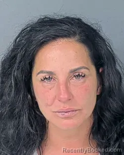 Mugshot of KRISTY EVE TRAMMELL booked in Hernando County, Florida on July 17, 2026