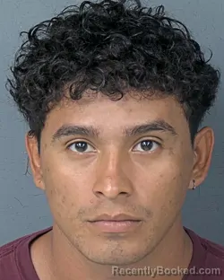 Mugshot of LUIS CARLOS DAVILA ESPINOZA booked in Hernando County, Florida on July 18, 2026