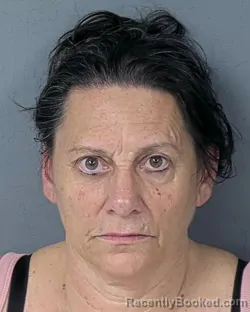 Mugshot of CHARLENE JOHNSON JEFFERS booked in Hernando County, Florida on July 21, 2026