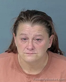 Mugshot of KATRINA ANN PLOURDE booked in Hernando County, Florida on July 21, 2026