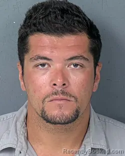 Booking photo from Hernando County, Florida