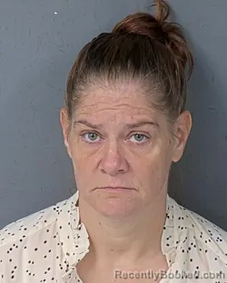 Mugshot of NICOLE JANINE COSTANZO booked in Hernando County, Florida on July 30, 2026
