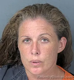 Mugshot of Christina Nichole Fowler booked in Hernando County, Florida on July 31, 2026