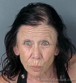 Mugshot of Michelle Ann Dodich booked in Hernando County, Florida on August 2, 2026