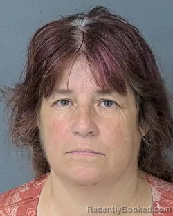 Mugshot of Nancy Regina Sizemore booked in Hernando County, Florida on August 8, 2026