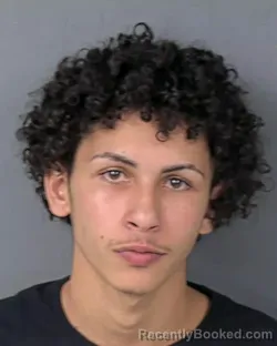 Mugshot of Michael Adrian Nanzrio booked in Hernando County, Florida on August 12, 2026