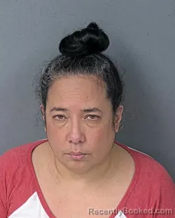 Mugshot of Maila Perla Martinez-Villa booked in Hernando County, Florida on August 12, 2026