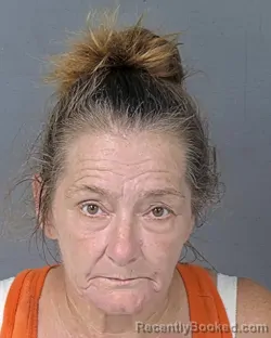 Mugshot of Jacqueline Rae Kooistra booked in Hernando County, Florida on August 12, 2026