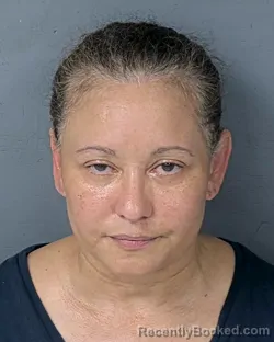 Mugshot of Erika Mollin booked in Hernando County, Florida on August 16, 2026