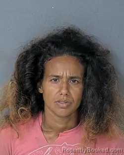 Mugshot of Kristina Lynnette Brown booked in Hernando County, Florida on August 17, 2026