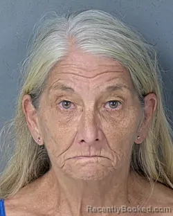 Mugshot of Ila Lynn Hinkle booked in Hernando County, Florida on August 17, 2026