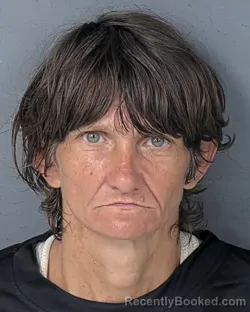 Mugshot of Tammy Lee Patton booked in Hernando County, Florida on August 17, 2026