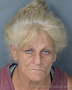Mugshot of Theresa Lidvina Garwood booked in Hernando County, Florida on August 18, 2026