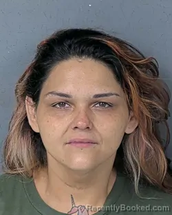 Mugshot of Theresa Cecile Lennox booked in Hernando County, Florida on August 19, 2026