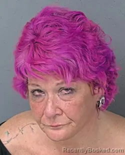Mugshot of Stacy Elizabeth Lunn booked in Hernando County, Florida on August 21, 2026