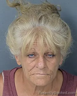 Mugshot of Theresa Lidvina Garwood booked in Hernando County, Florida on August 21, 2026