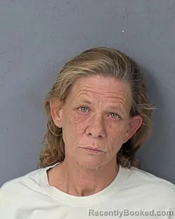 Mugshot of Lisa Barlene Forehand booked in Hernando County, Florida on August 22, 2026