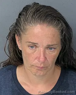 Mugshot of Stephanie Arlene Tenhagen booked in Hernando County, Florida on August 22, 2026
