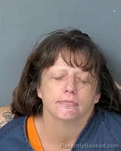 Mugshot of Nicole Lyn Gilstrap booked in Hernando County, Florida on August 23, 2026