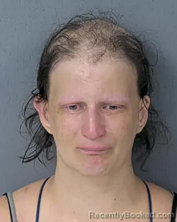 Mugshot of Amy Ellen Wagner booked in Hernando County, Florida on August 23, 2026