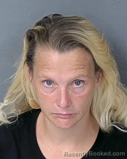 Mugshot of Heather Lynn Gillespie booked in Hernando County, Florida on August 23, 2026