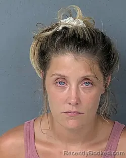Mugshot of Morgan Joanne Zak booked in Hernando County, Florida on August 24, 2026