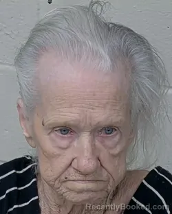 Mugshot of Virginia Ann Wynn booked in Hernando County, Florida on August 24, 2026