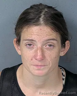 Mugshot of Krista Leigh Palmieri booked in Hernando County, Florida on August 24, 2026