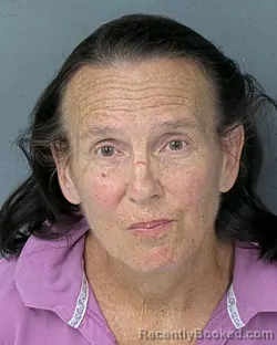 Mugshot of Mary Yankovitz Ortiz booked in Hernando County, Florida on August 25, 2026