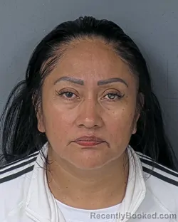 Mugshot of Marina Salvador Agustin booked in Hernando County, Florida on August 25, 2026