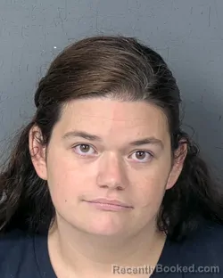 Mugshot of Cynthia Ann Carr booked in Hernando County, Florida on August 27, 2026
