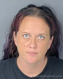 Mugshot of Leandra Loraine Mak booked in Hernando County, Florida on August 27, 2026