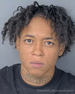 Mugshot of Dametria Alexandria Gibson booked in Hernando County, Florida on August 27, 2026
