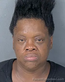 Mugshot of Mattie Ranee Johnson booked in Hernando County, Florida on August 27, 2026