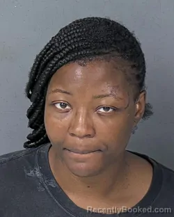 Mugshot of Amethyst Essence Ferguson booked in Hernando County, Florida on August 28, 2026