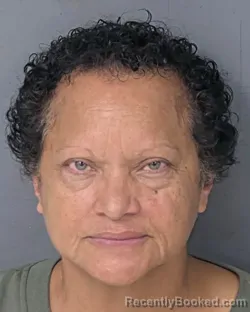 Mugshot of Mildred Rodriguez booked in Hernando County, Florida on August 28, 2026