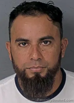Mugshot of Erwin Enrique Herrera Castillo booked in Hernando County, Florida on August 29, 2026