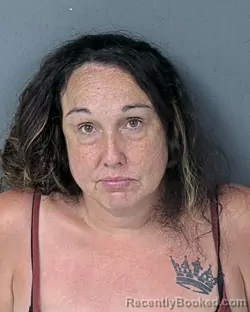 Mugshot of Jessica Jean Ferrin booked in Hernando County, Florida on August 29, 2026